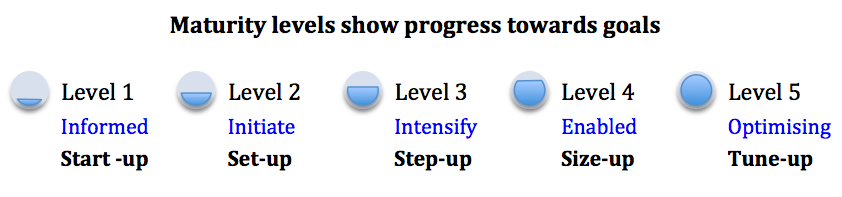 Maturity levels show progress towards goals_SBMM_Texavi