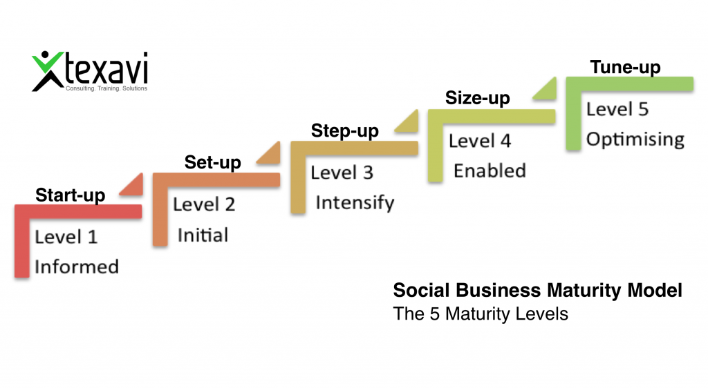 The 5 Maturity Levels - Texavi's SBMM 